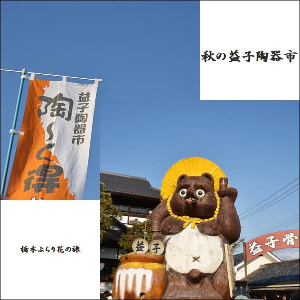 【栃木ぶらり花の旅・秋の益子陶器市】お気に入りの1品を探す旅