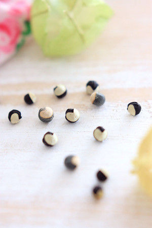 種は、白黒のツートーン。白いところは❤になっていて、とてもかわいいですよ。