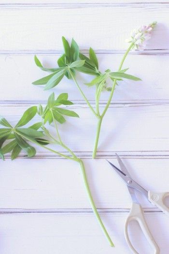 茎が長い場合は、 葉の部分と花の部分と分割して使います。