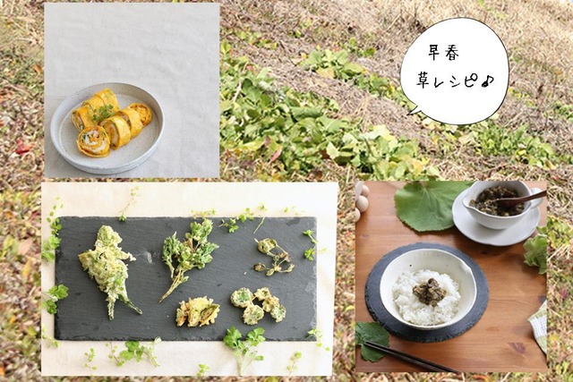 雑草 野花 食べ方 レシピ 作り方