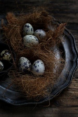 ココファイバーの上に 茹でたうずらの卵をのせるだけ^^ 細かい繊維が落ちるので トレイやお皿の上に飾ってくださいね。