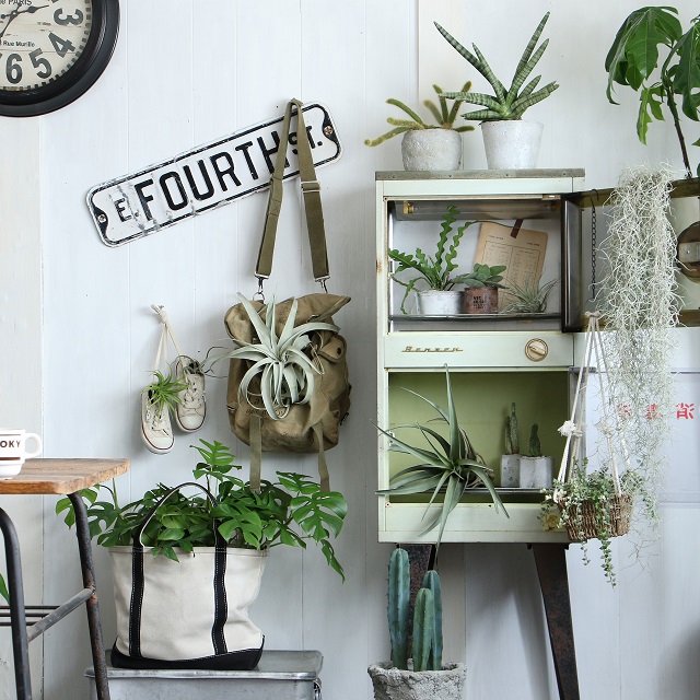 おうちにあるものを植木鉢にして、ブルックリン風インテリアを楽しんでみましょう♪