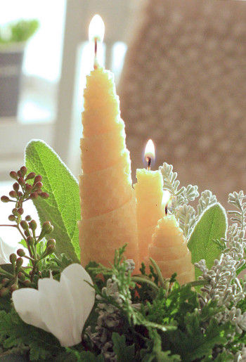蜜蝋シートのキャンドルに フレッシュグリーンを合わせてアレンジしました。