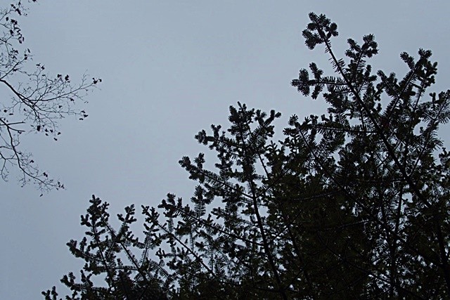 jmbaba_20151225_003
