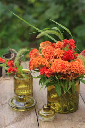 器にざっくりと入れてアレンジします。