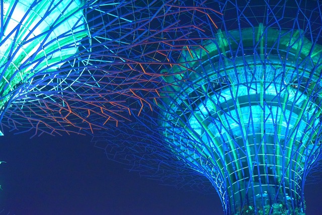 jmtakamiya_20160305_008