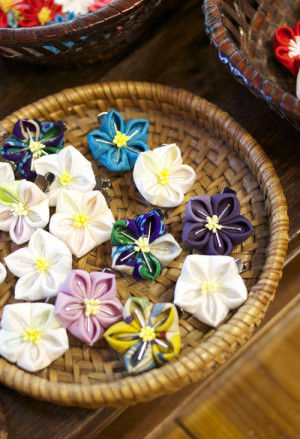 清楚な桔梗の花はミニクリップ。