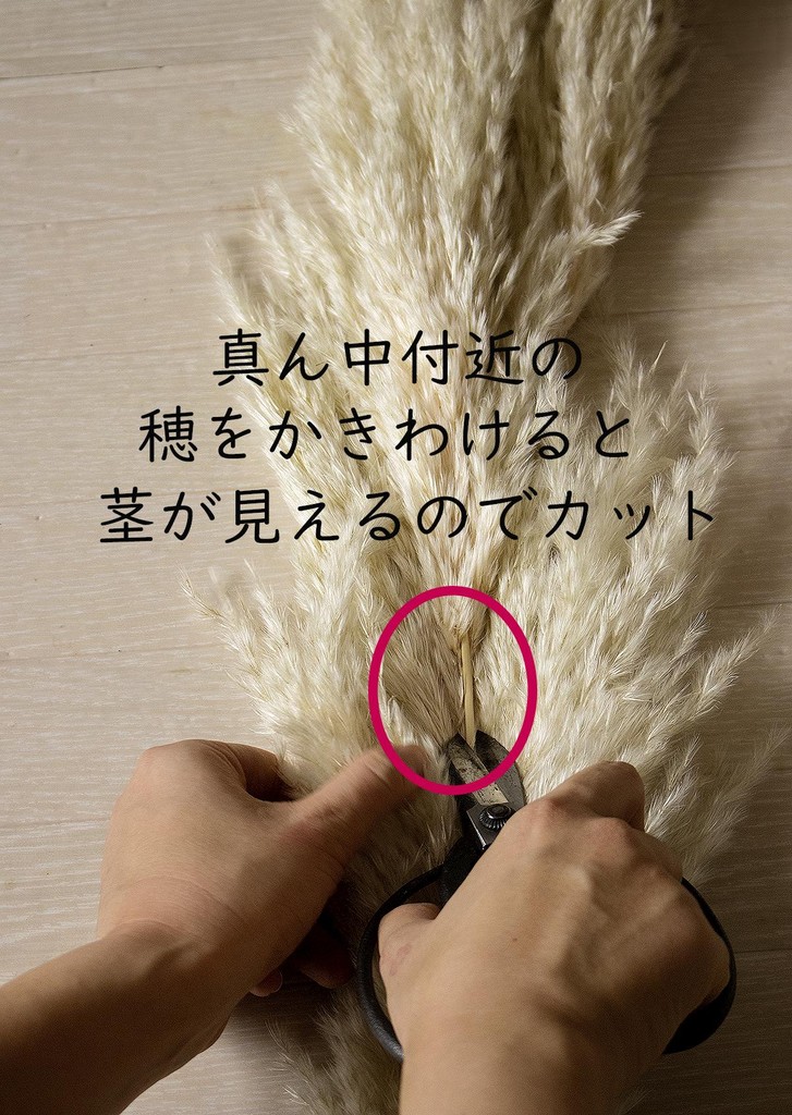 海外風に パンパスグラスを使った秋ディスプレイ作り方 窪田千紘フォトスタイリングwebマガジン Klastyling Powered By ライブドアブログ 海外風に パンパスグラスを使った秋ディスプレイ作り方 窪田千紘フォトスタイリングwebマガジン Klastyling Powered By ライブドアブログ