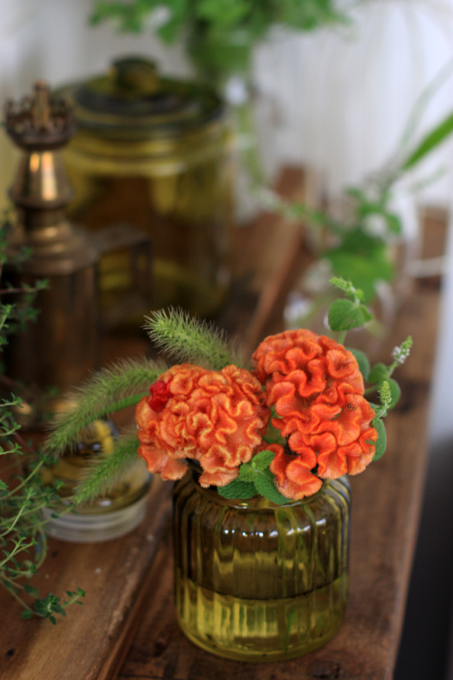 ケイトウで楽しむ、初秋のフラワーアレンジ