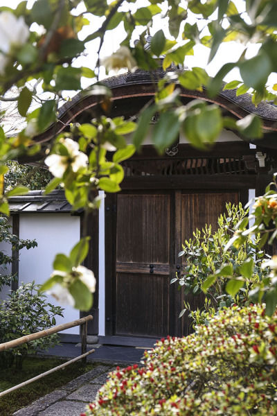 普段着物で楽しむ京都 その3 　～大徳寺 瑞峰院～