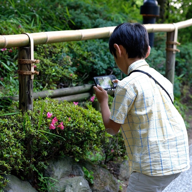 ホテル椿山荘東京で蛍観賞　～こどもと四季を楽しむお散歩ガイド～　