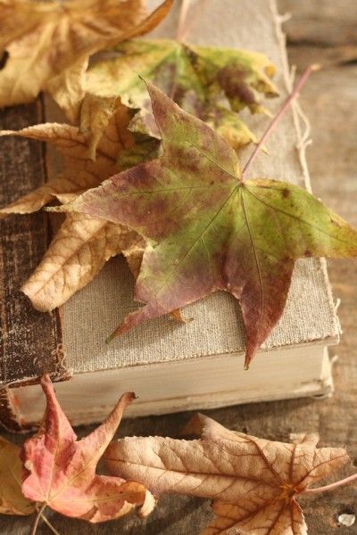 子どもと一緒に♪　葉っぱで王冠づくり