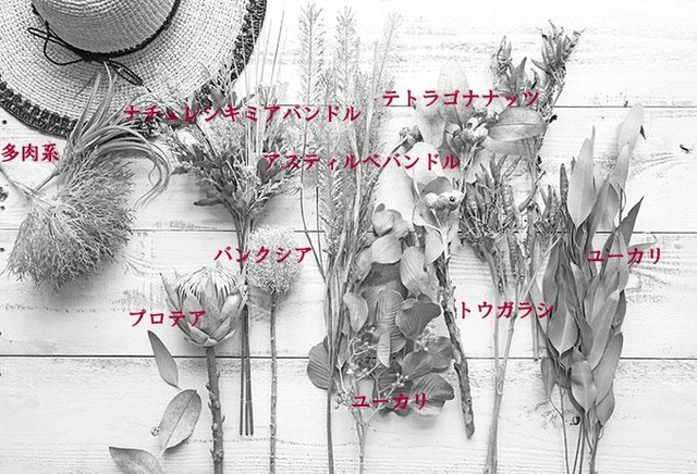 yfv9fzgf9ljz99v9x15e365kb9bg3mav