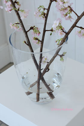 o0280042011023350684