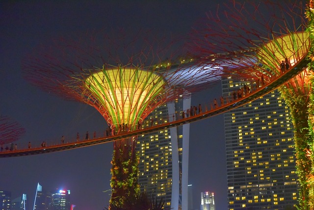 jmtakamiya_20160305_007