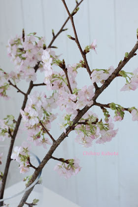 o0280042011023350683