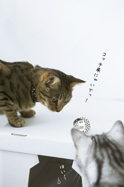 miaeyano_006_20160520