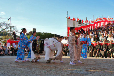 長崎秋の大祭「長崎くんち」レポート~踊町「桶屋町」のシンボル・象のお話~