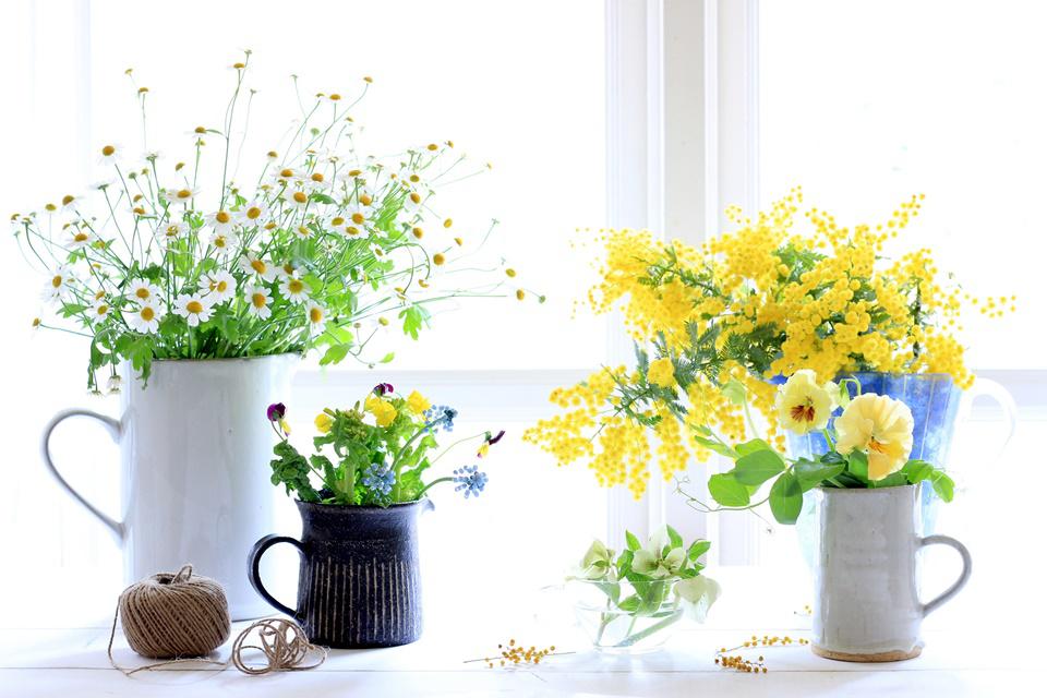 意外と簡単 ピッチャーで楽しむ花のアレンジ 窪田千紘フォトスタイリングwebマガジン Klastyling Powered By ライブドアブログ