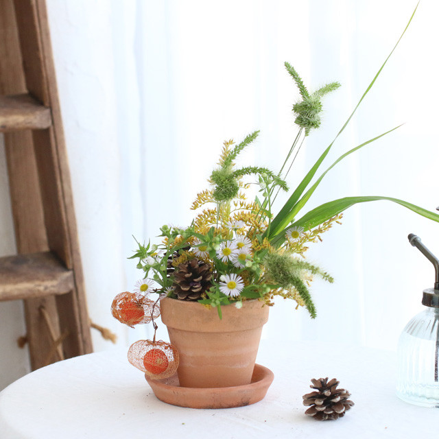 ［雑草アレンジ］植木鉢に生ける♪　エノコログサのウサギ&セイタカアワダチソウのアレンジの作り方