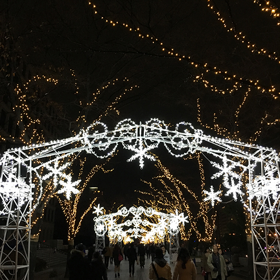 42ktoyohara_20151224_004