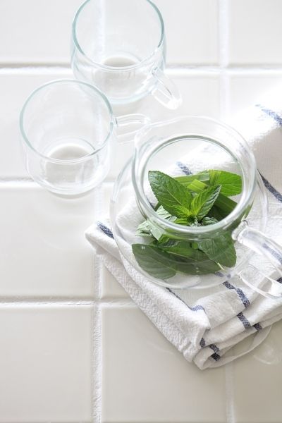 ナチュラルな虫よけ対策に おすすめハーブベスト5
