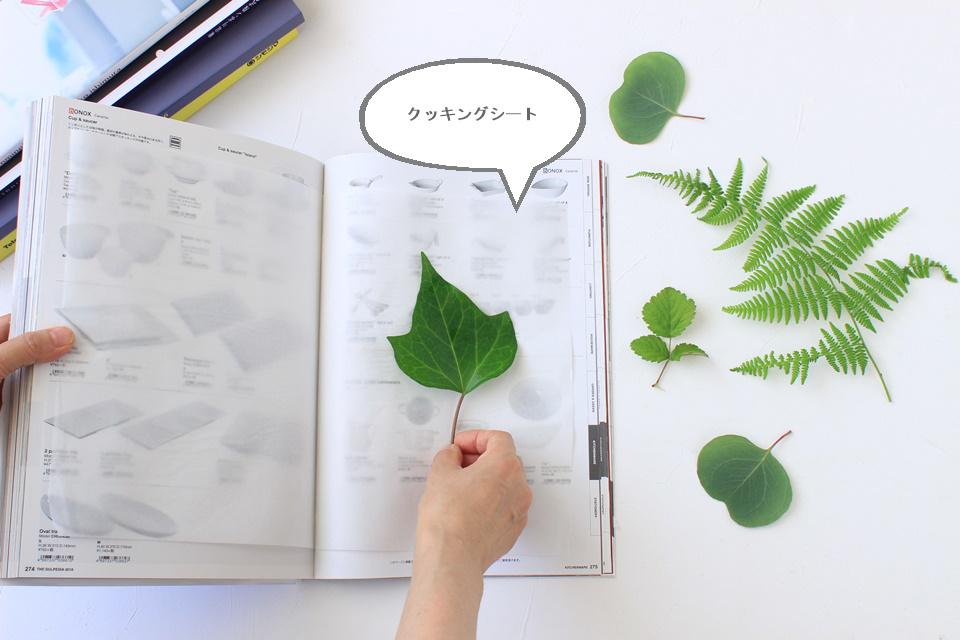 夏休みの自由研究に 100均で簡単 フローティングフレーム の作り方 窪田千紘フォトスタイリングwebマガジン Klastyling Powered By ライブドアブログ