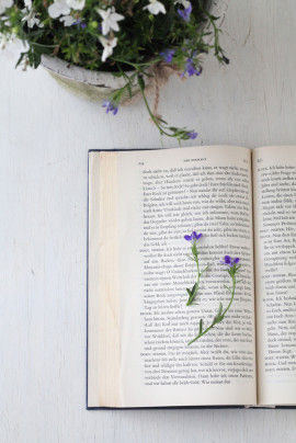 小さな鉢花を、少し厚めの本の間にはさみます。 １ページに２～３本以上入れないほうが、 乾きやすく、きれいに押し花になります。