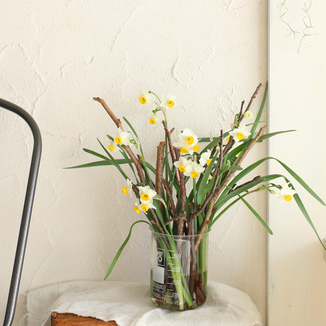 スイセンを今風アレンジ♪　ポイントはビーカー＆拾った枝