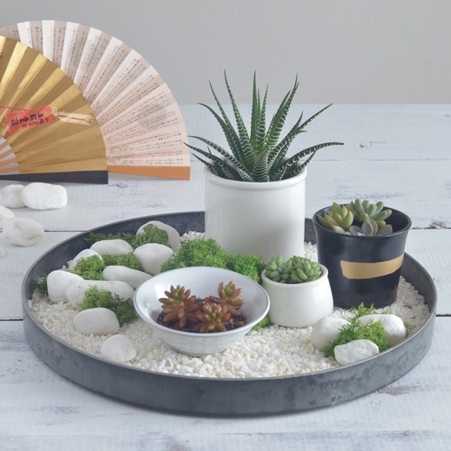 超簡単!多肉植物を置くだけお正月アレンジ