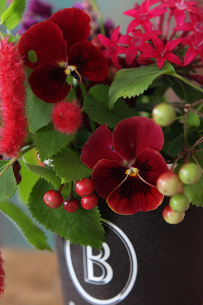 人気のコーヒーショップや、ベーカリーカフェのカップは、 デザインがシンプルでおしゃれ。 シックな色のカップに、赤い花がとても映えます。