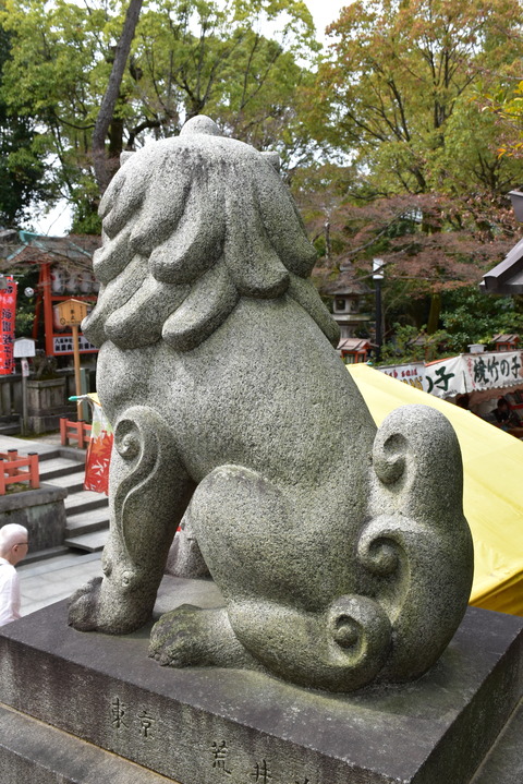 KOM_0973