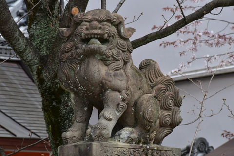 KOM_0988