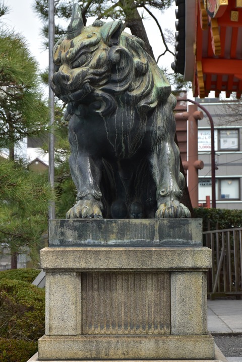KOM_0895