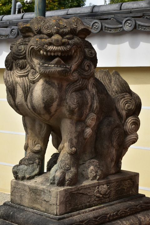 KOM_1047
