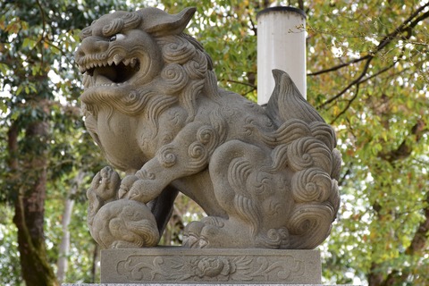 KOM_0921