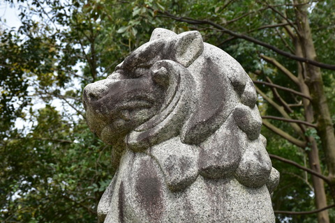 KOM_0982