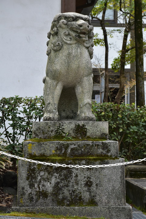 KOM_0964