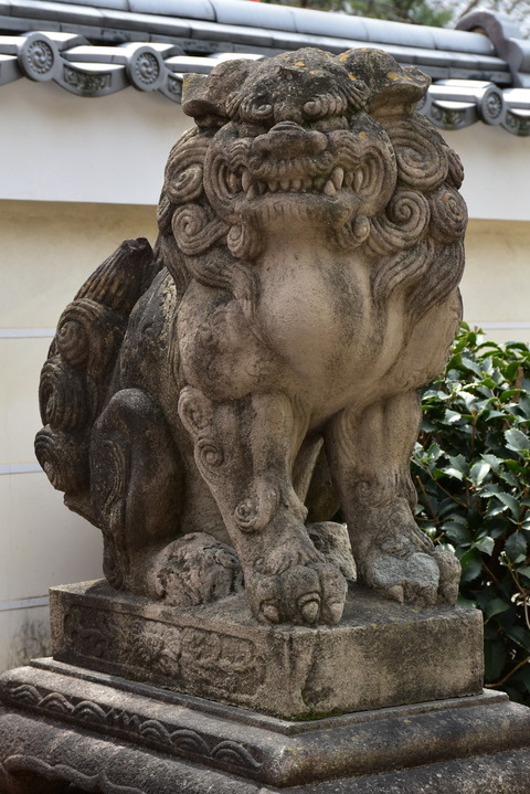 KOM_1048
