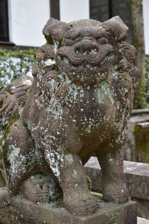 KOM_0947
