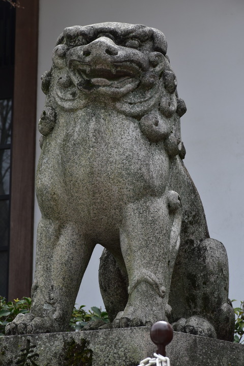 KOM_0970
