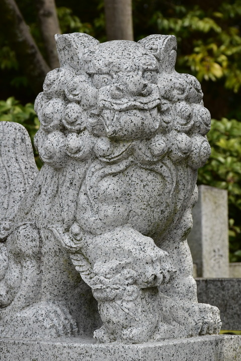 KOM_1031