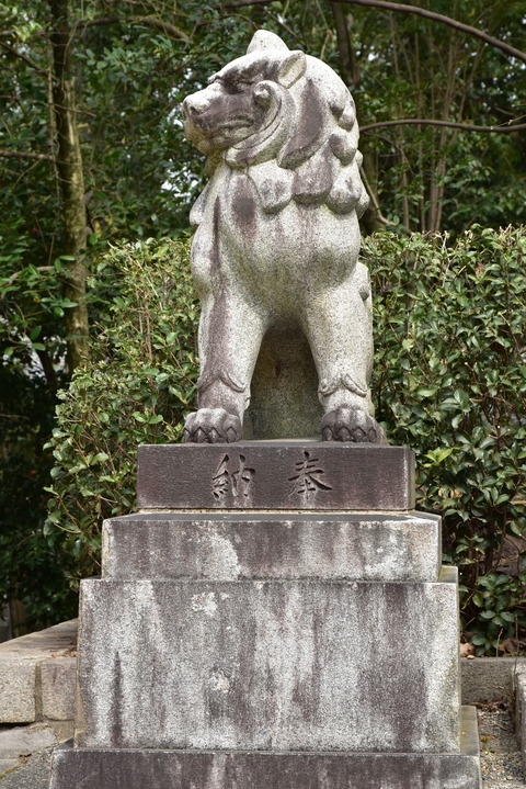 KOM_0966
