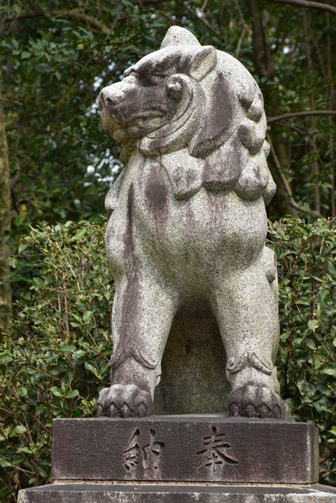 KOM_0967