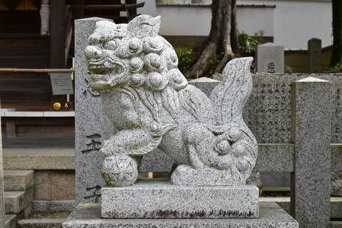 KOM_1025
