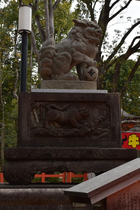 KOM_0916