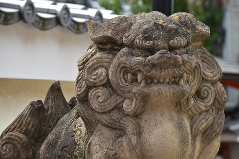 KOM_1061
