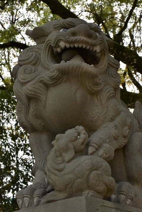 KOM_0929