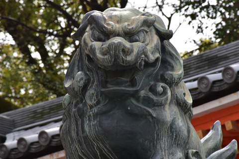KOM_0913