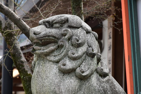 KOM_0981